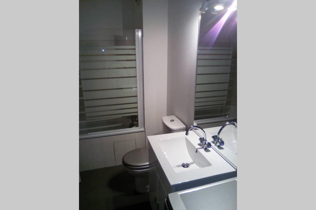 Studio Double 21 Centre De Limoges Wifi Buitenkant foto