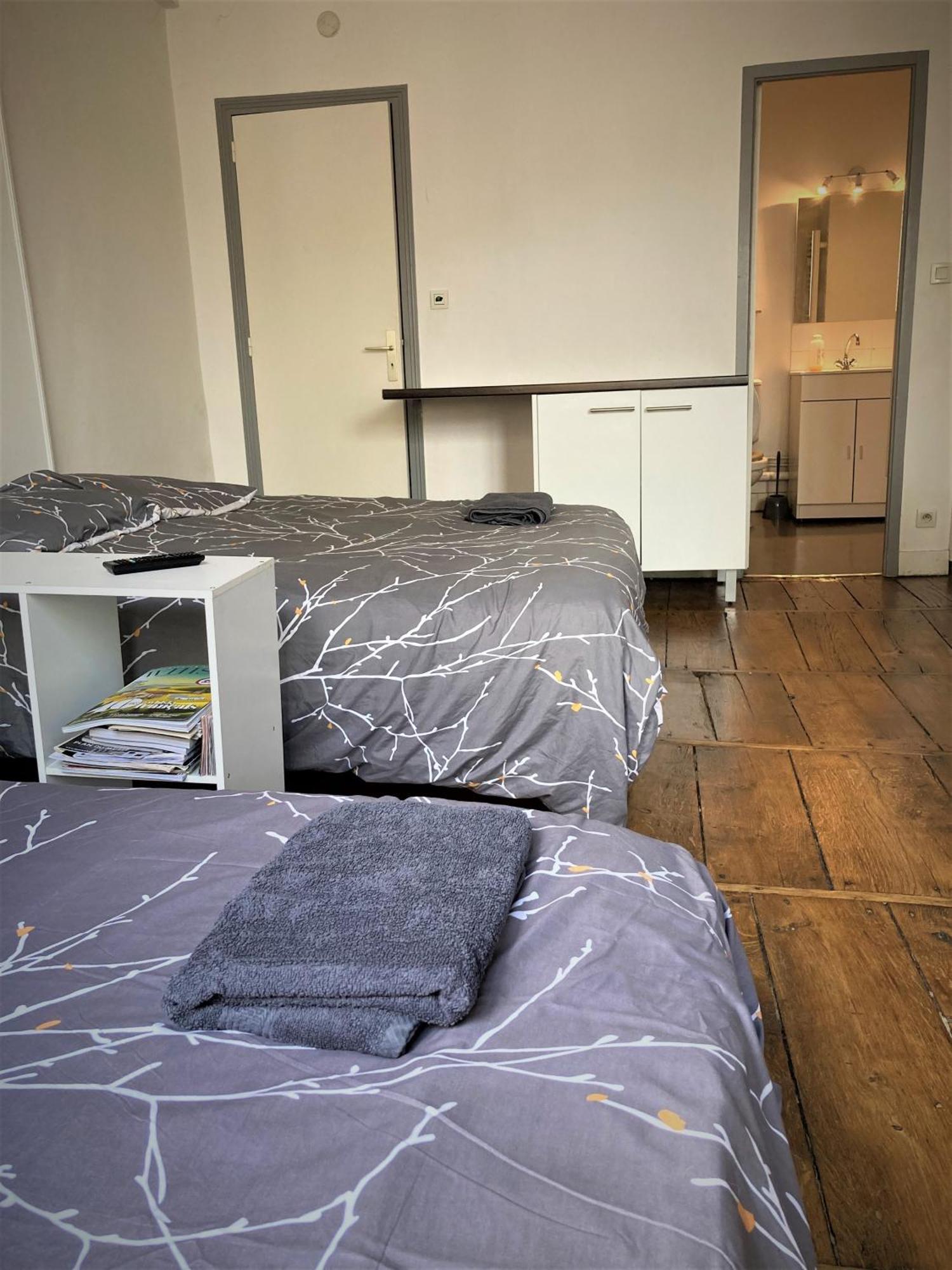 Studio Double 21 Centre De Limoges Wifi Buitenkant foto